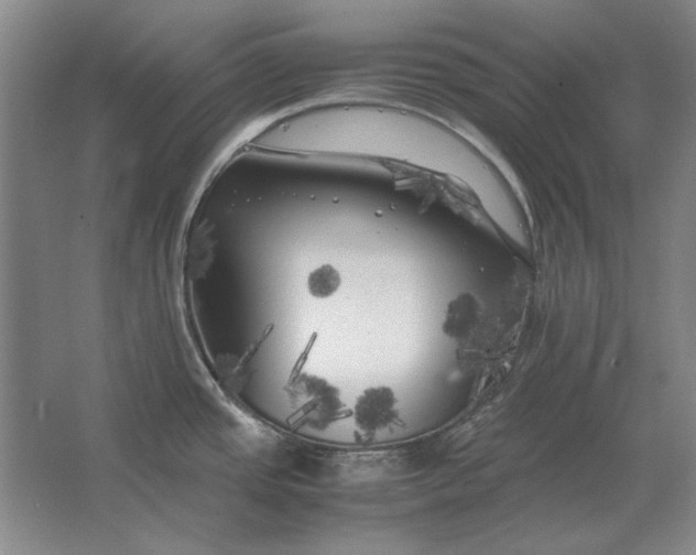 X0000062921437200601271754