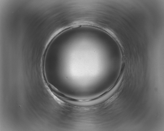 X0000062921438200601271754