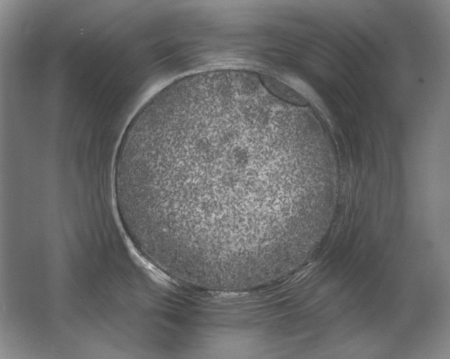 X0000062921439200601271754