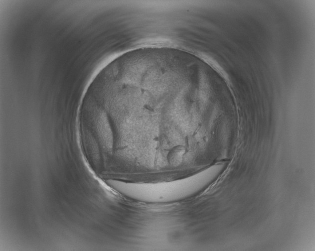 X0000062921440200601271754