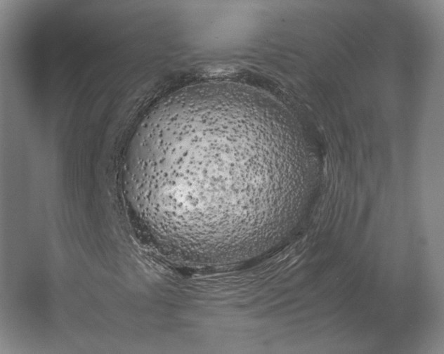 X0000062921441200601271753