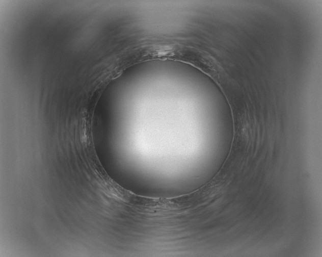 X0000062921442200601271753