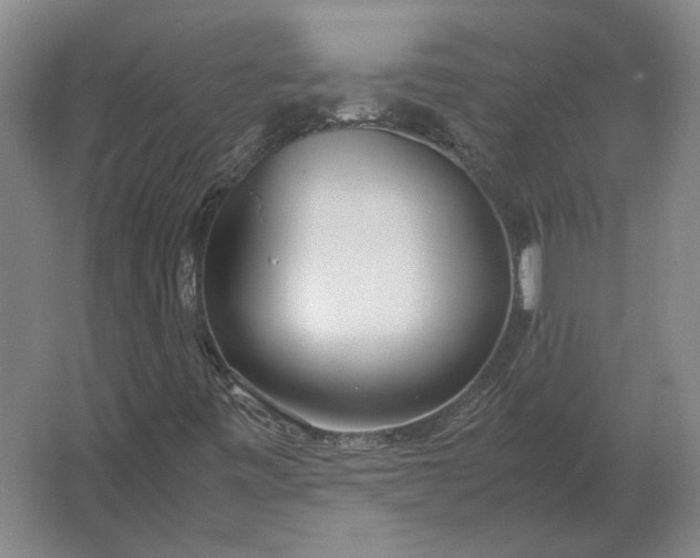 X0000062921443200601271753