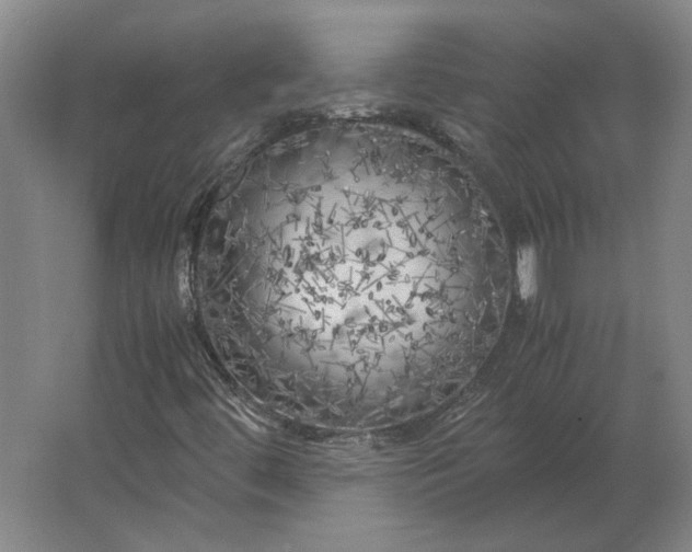 X0000062921444200601271753