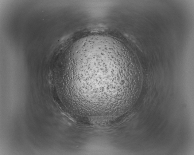 X0000062921445200601271753