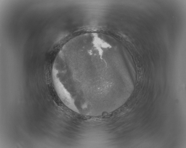 X0000062921446200601271753