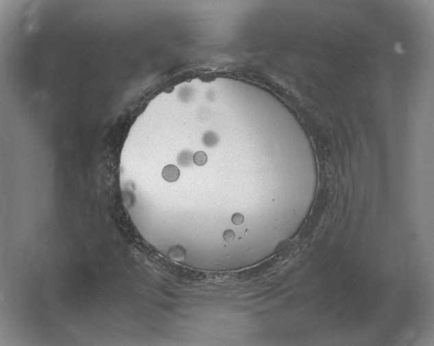 X0000062921447200601271753