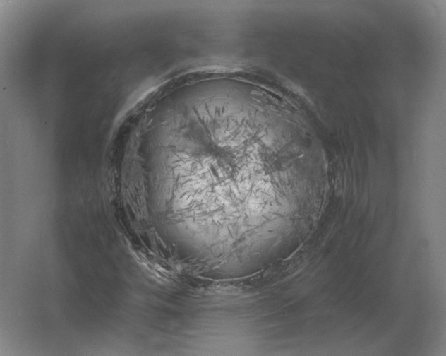 X0000062921448200601271753