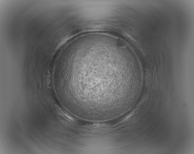 X0000062921449200601271753