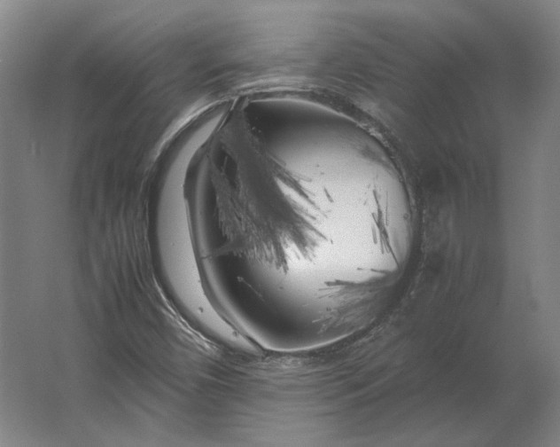 X0000062921450200601271753