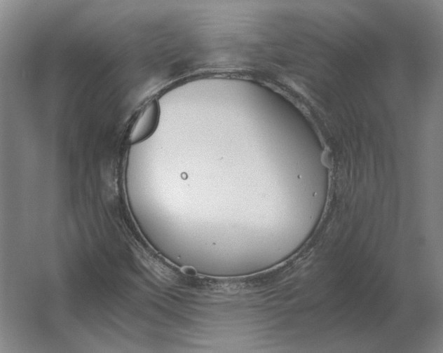 X0000062921451200601271753