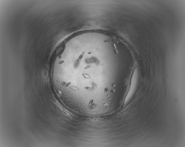 X0000062921452200601271753