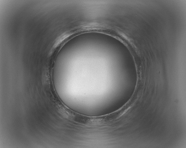 X0000062921453200601271753