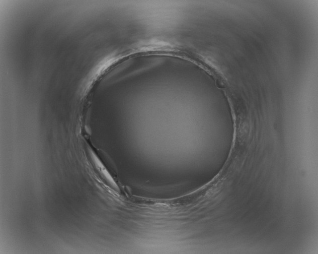 X0000062921455200601271753