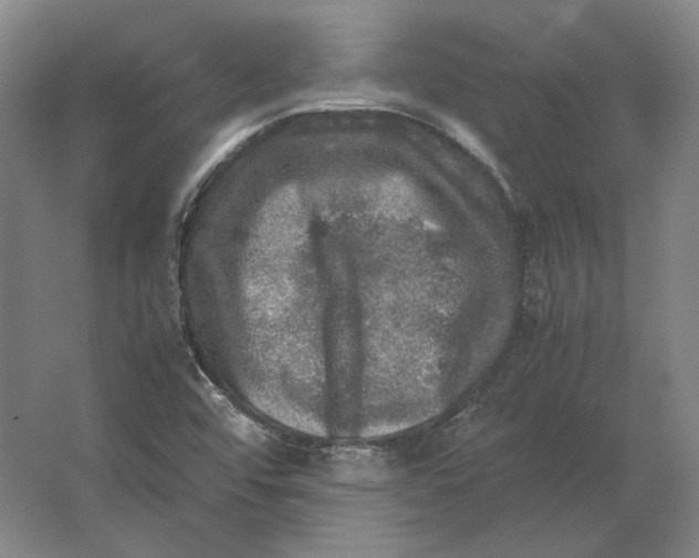 X0000062921456200601271753