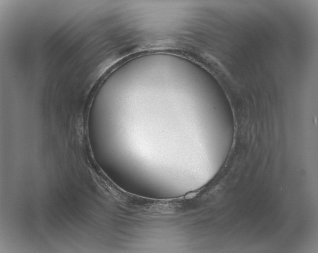 X0000062921457200601271753