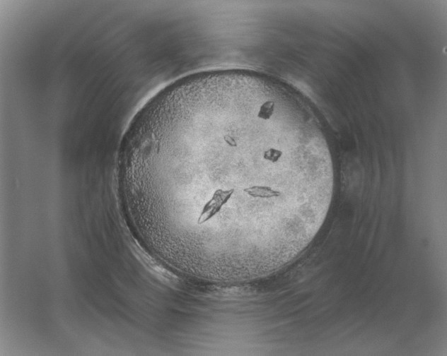 X0000062921460200601271753