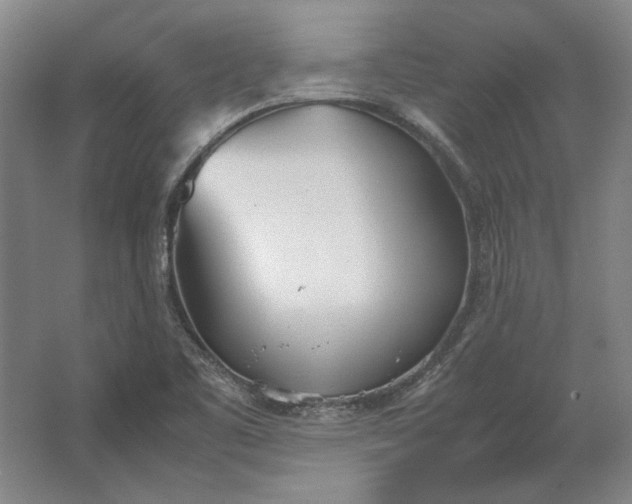 X0000062921461200601271753