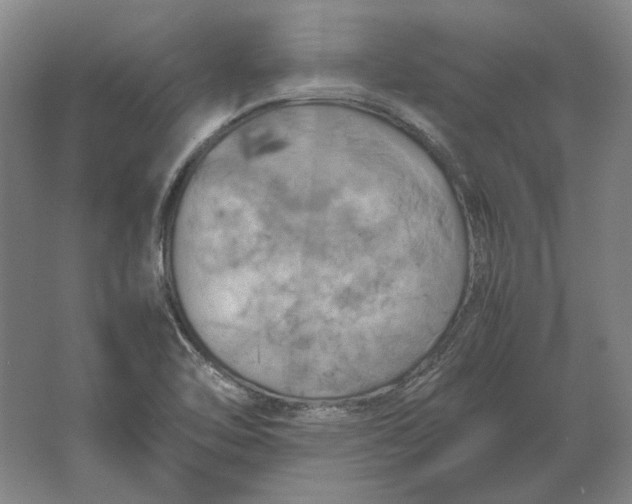 X0000062921462200601271753