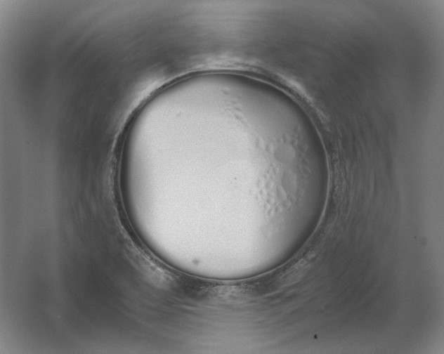 X0000062921463200601271753