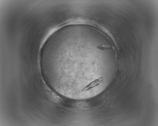 X0000062921464200601271753