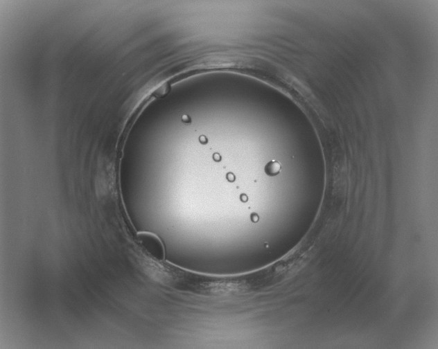 X0000062921465200601271753