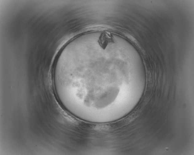 X0000062921466200601271753