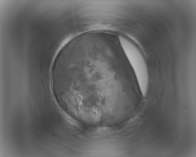 X0000062921467200601271753