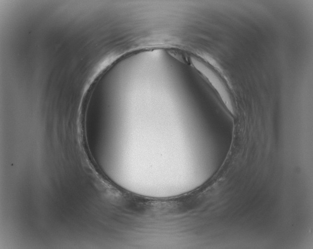 X0000062921469200601271752