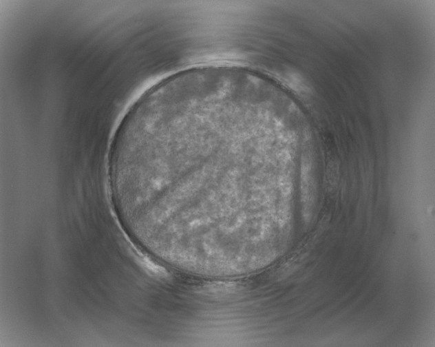 X0000062921470200601271752