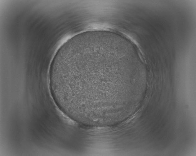 X0000062921471200601271752