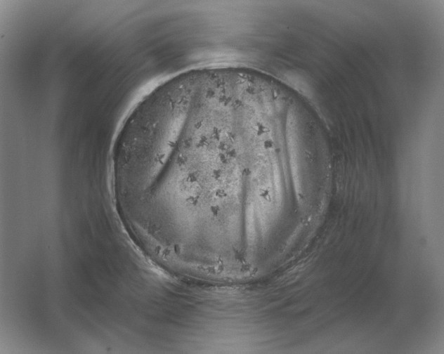 X0000062921472200601271752