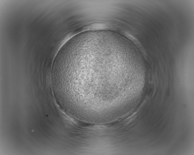 X0000062921473200601271752