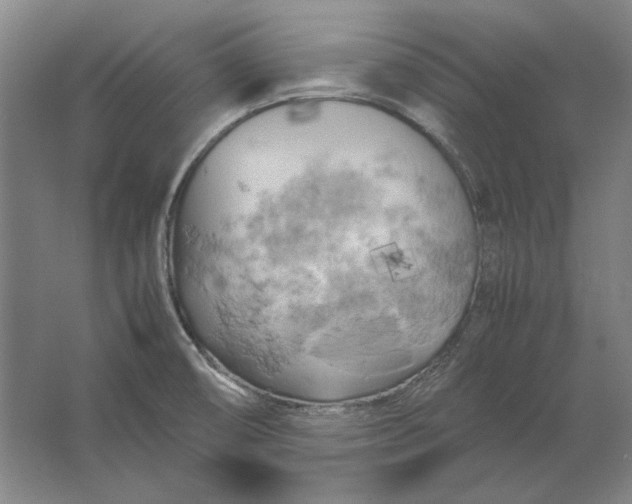 X0000062921474200601271752