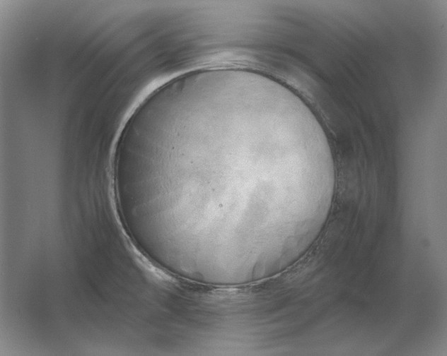 X0000062921478200601271752