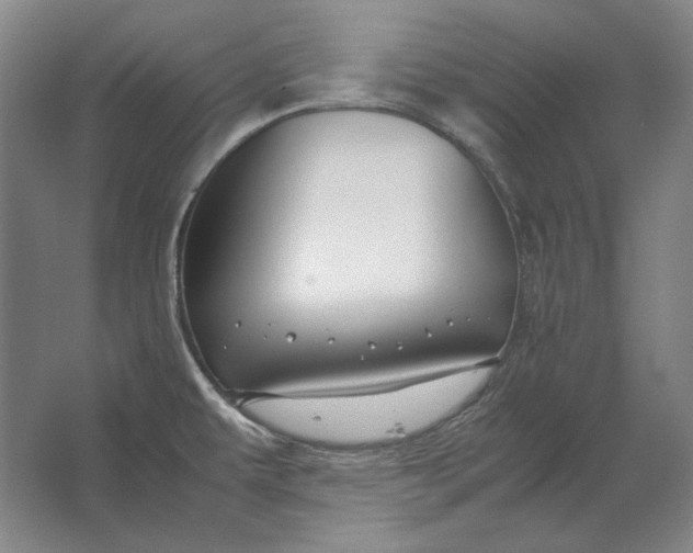 X0000062921479200601271752