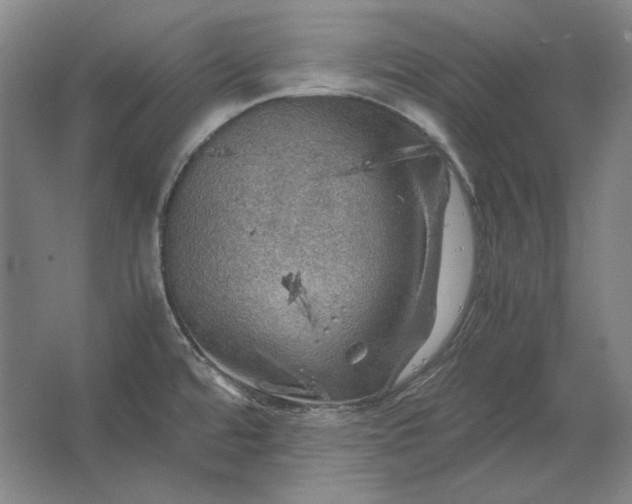 X0000062921480200601271752