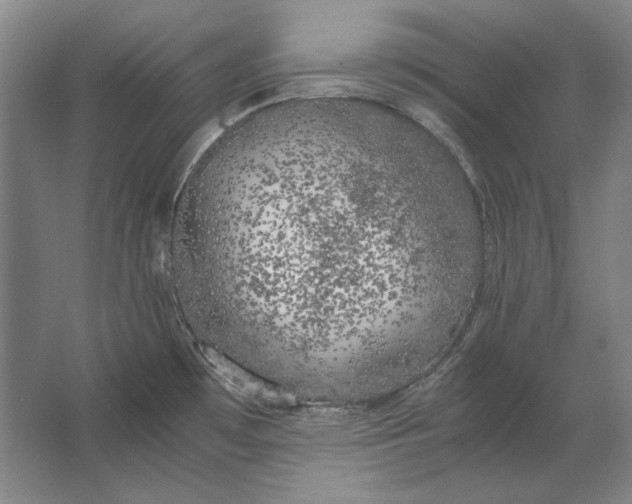 X0000062921481200601271752