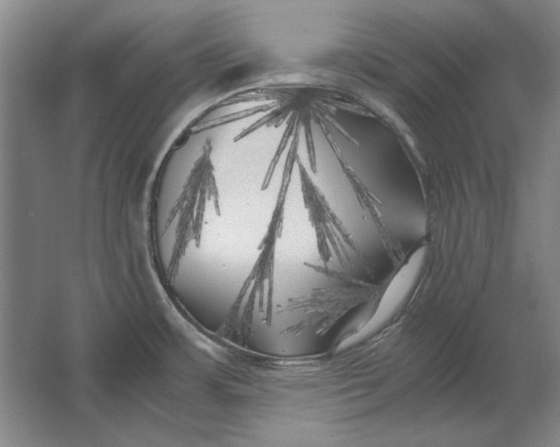 X0000062921483200601271752