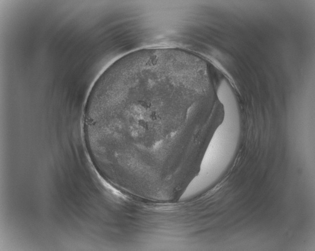 X0000062921484200601271752