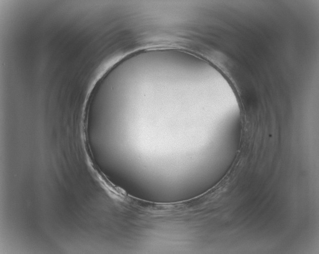 X0000062921485200601271752