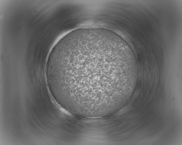 X0000062921486200601271752