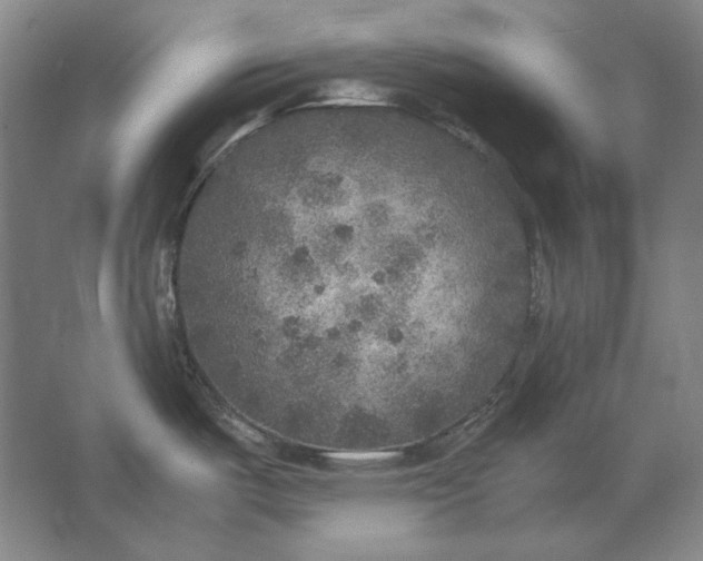 X0000062921487200601271752