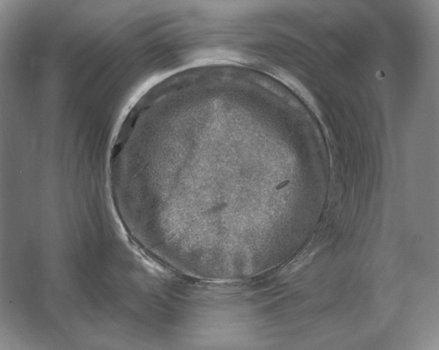 X0000062921488200601271752