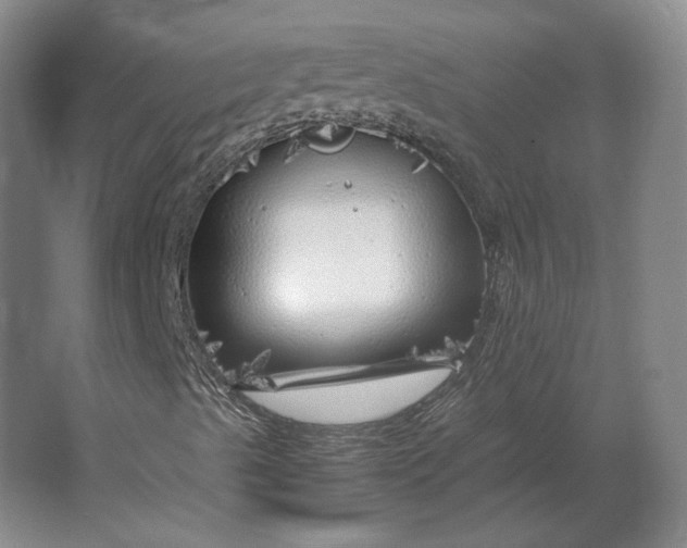 X0000062921489200601271751