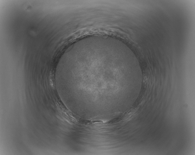 X0000062921490200601271751