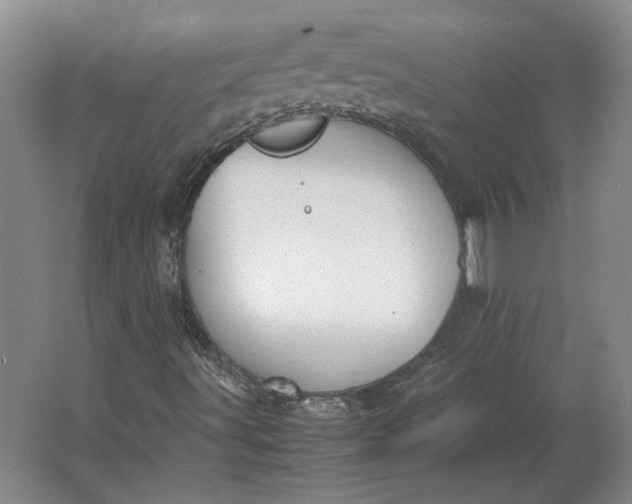 X0000062921491200601271751