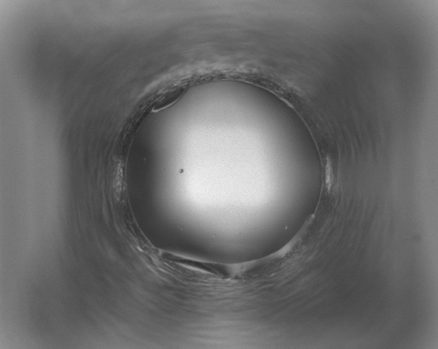 X0000062921492200601271751