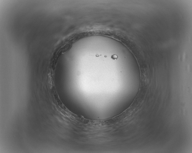 X0000062921493200601271751