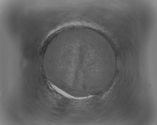 X0000062921494200601271751